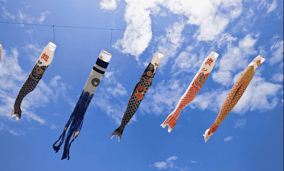 1546675376502598.png 1546675376502598.png