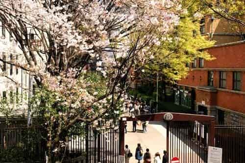 日本留學的“高性價比“體現在哪些方面？