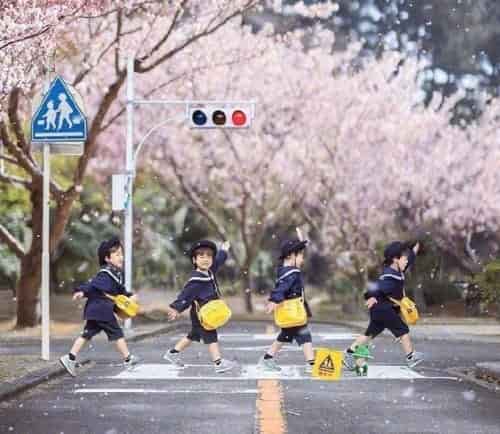 去日本之前，這4件事是你必須要了解的