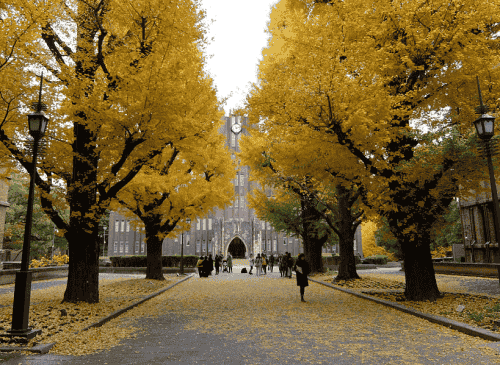 日本設(shè)立新簽證制度，留學(xué)生畢業(yè)后可以最長2年的創(chuàng)業(yè)準(zhǔn)備時間。